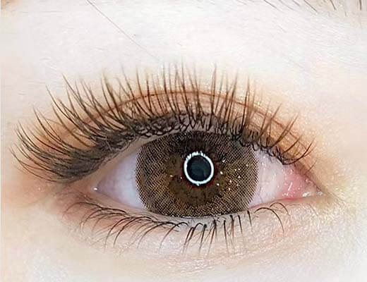 Brown Flat lash